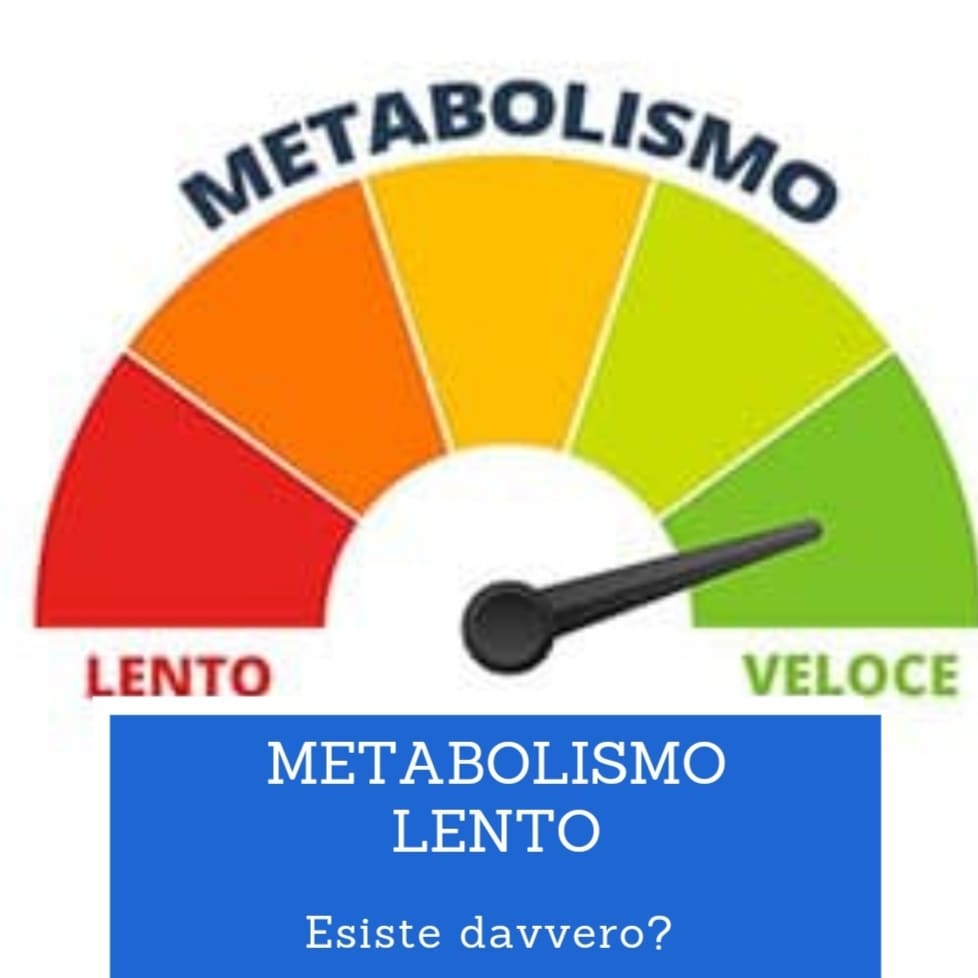 metabolismo1