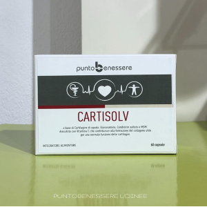 CARTISOLV 60 cps